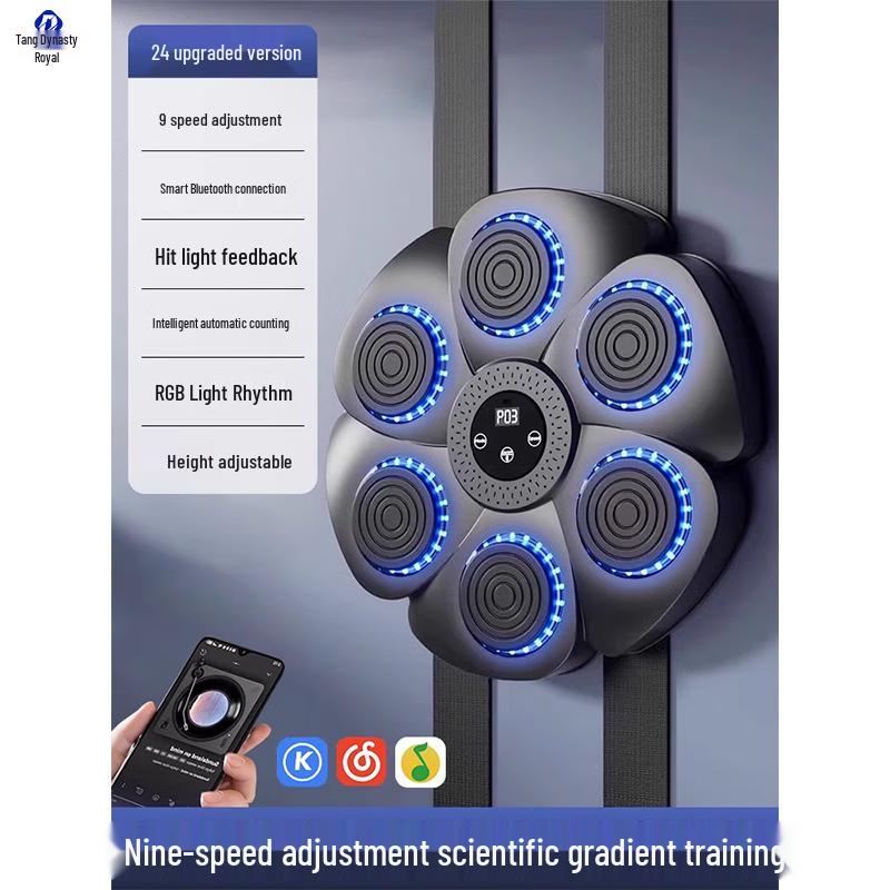 Datangyu Smart Boxing Target with Bluetooth Music & Lights One Size