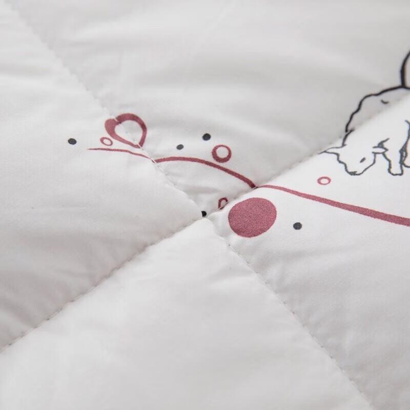 Hengyuanxiang Warm Luxury 100% Pure Wool Winter Quilt