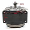 Little Dolphin 24V Electric ATV with 300W Motor