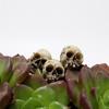 40Piece Skulls Human Head Skull Realistic Skeleton Skulls For Halloween Table Decor