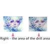 DIY Diamond Painting Crystal Rhinestone Embroidery Arts Colorful Home Room Decor 8688