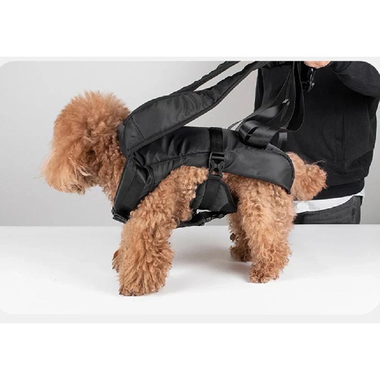 Newest Pet Carrying Bags for Small Medium Dogs Hiking Cycling Puppy Dog Cat Carrier Backpack Mascotas Supplies Trasportino Cane