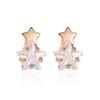 Korean S925 Sterling Silver Star Stud Earrings for Women - Zircon, Internet Celebrity Style, Christmas Gift
