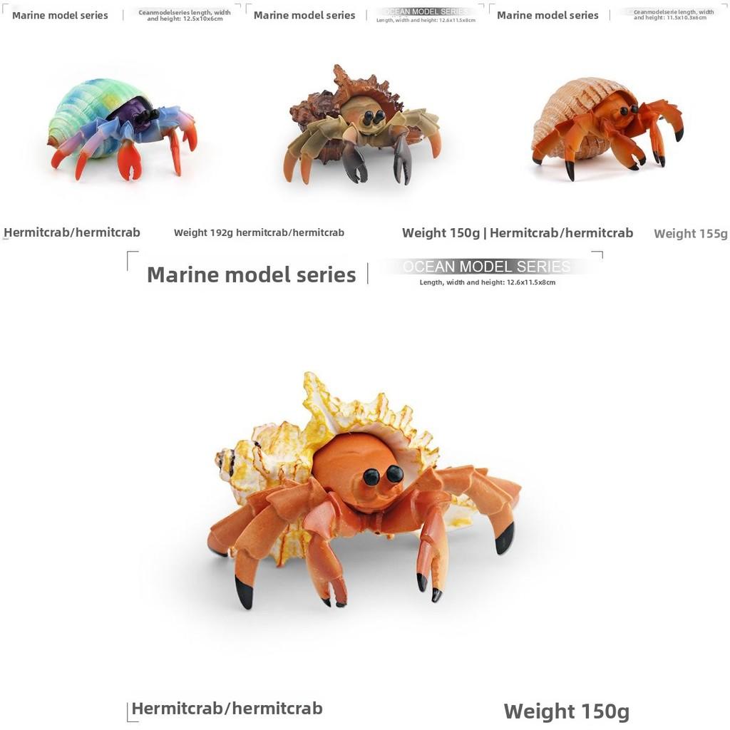 Simulation Marine Animal Pvc Hermit Crabs Sculpture For Kids Learning And Decorative Collection