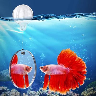 Akvarijní akrylové zrcátko pro trénink bojovnic, plovoucí zrcátko do akvária pro ryby Betta, Flowerhorn, Cichlidy, akvarijní dekorace