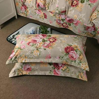 Federe spazzolate Una coppia di federe grandi singole-doppie ad alta densità ad alto numero