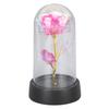 Rosa Colorata Luminosa in Cupola di Vetro Regali di Compleanno Illuminazione d'Ambiente Fiore Artificiale Luminoso Rosa per Anniversario Natale