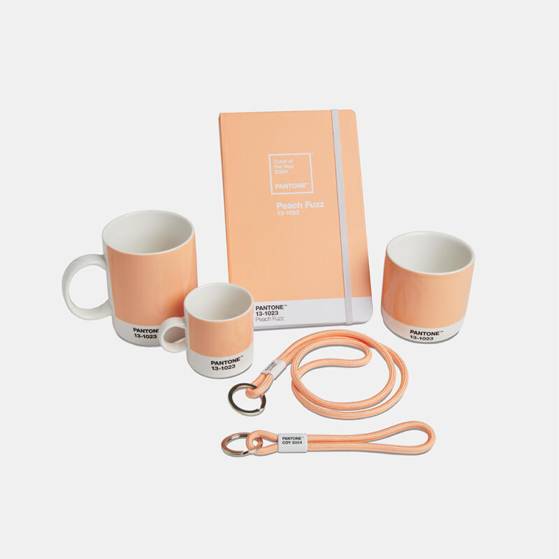 Pantone Mug (Peach Fuzz 13-1023 2024 Color of the Year)