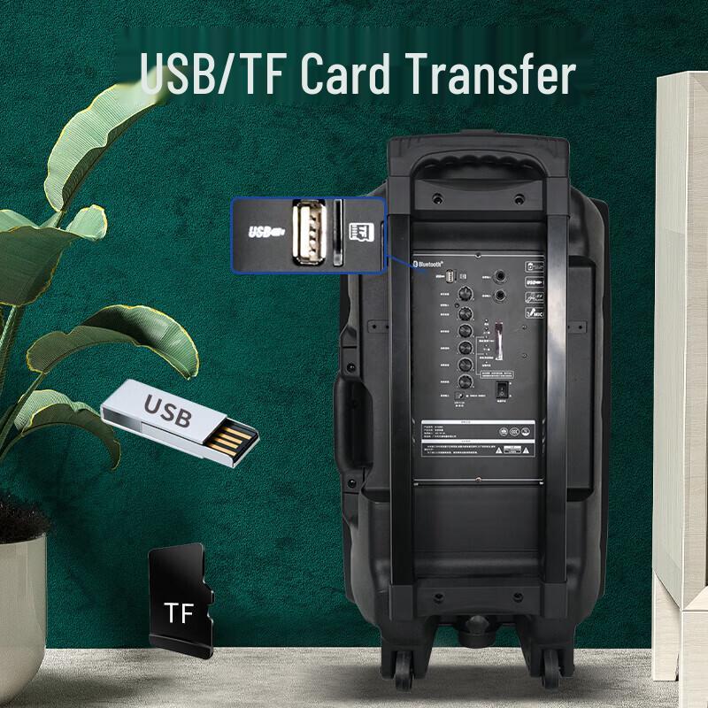 Malata M+9098 15-inch Portable PA Speaker CN plug (adapter included)