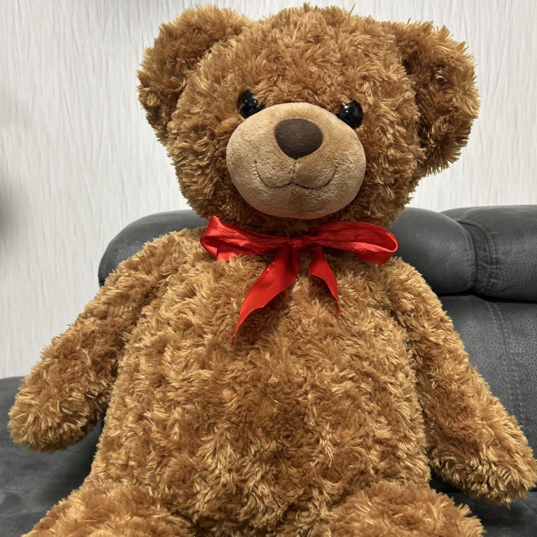 

[USED] Brown teddy bear (large)