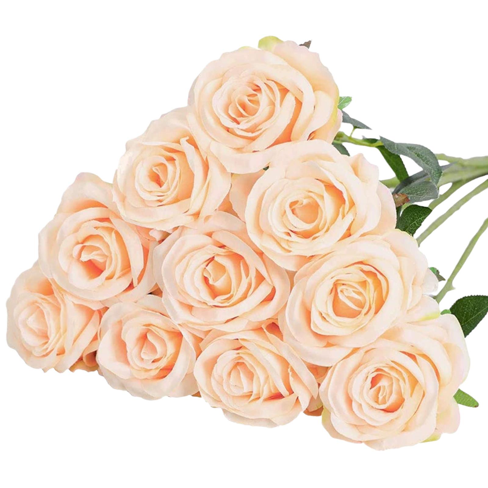 

Симуляція вечірки Однотонний Рожевий Штучна Симуляція Рослини Атмосфера Декорація Квіти 1 набір, 10 шт. One Size бежевий