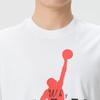 Nike Men's Short Sleeve Round Neck T-Shirt IF2939