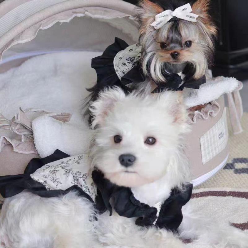 

Летнее цветочное платье для питомца, юбка для собаки, одежда, весенне-летнее тонкое дышащее хлопковое платье, весенняя прогулка с мишкой Тибби XXL chest 55 back 45 about 14-8.5 kg