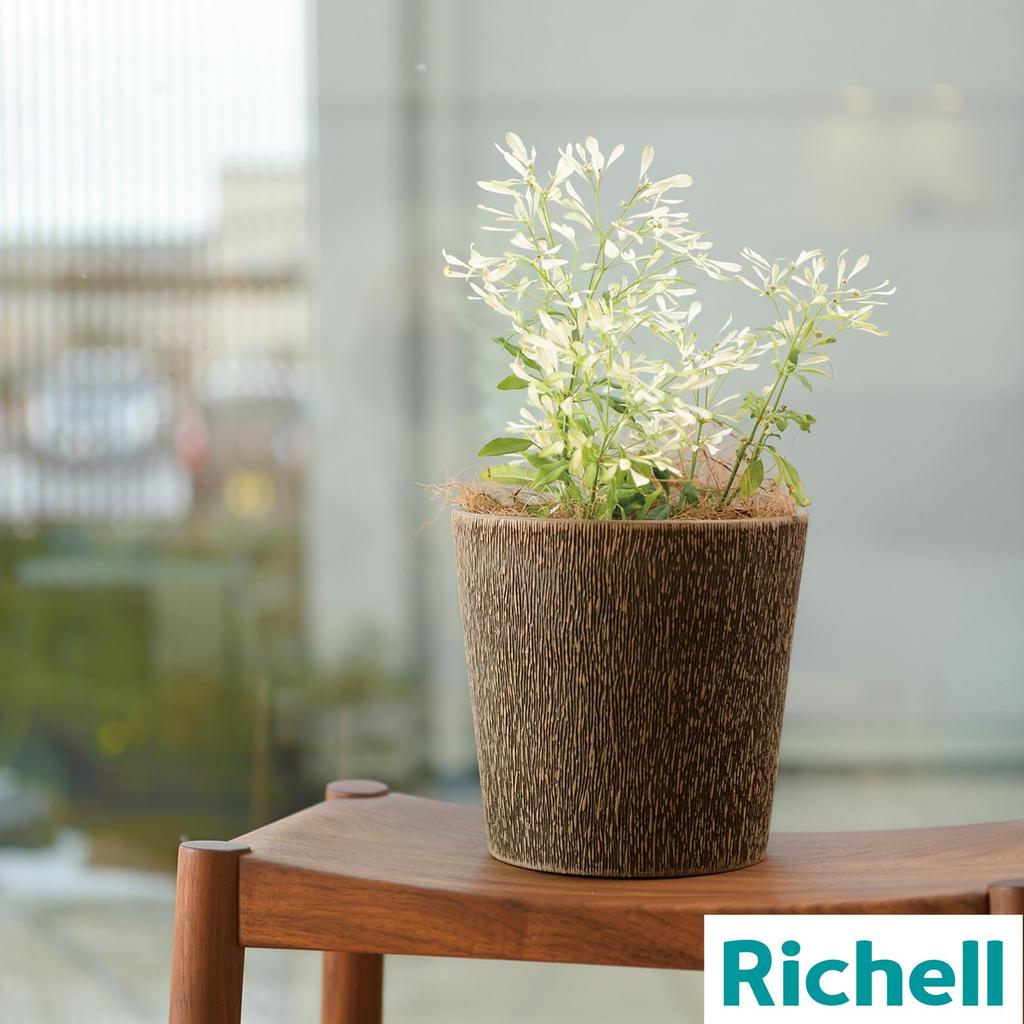 Cache-pots Richell Botany Bark, 18 pouces, Blanc, Lot de 3, pour Légumes, Plantes d'extérieur, Plantes d'intérieur, Bonsaï, et plus, Code produit: 003226