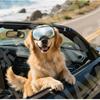 Pet glasses, windproof and sandproof, UV-proof sunglasses, medium and large dog goggles