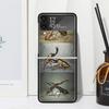 Bugs Bees Scientific Decomposition Phone Case Cover for Samsung Galaxy Z Flip 7 6 5 4 3 5G Flip3 Flip4 Flip5 ZFlip6 ZFlip7 Black