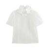 Jnleaog Spring New Arrival Women's Clothing Fashion Style French Fashion Elegant Three-Dimensional Flower Decoration Transparent Shirt