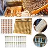120pcs Bee Cell Cups Queen Rearing System Beekeeping Tool Cultivating Box Cell Cups Cage Complete Kit Apiculture Tools Supplies