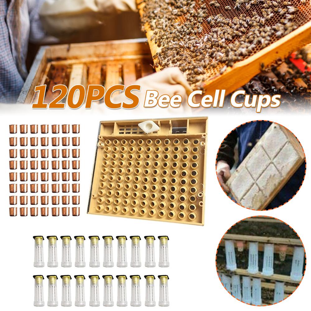 120pcs Bee Cell Cups Queen Rearing System Beekeeping Tool Cultivating Box Cell Cups Cage Complete Kit Apiculture Tools Supplies