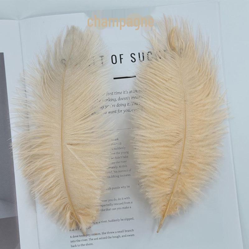 Barevné zavírače na dorty z pštrosího peří a příslušenství