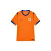 Nike Dri-Fit 2026 Chińska Superliga Shandong Taishan Koszulka Piłkarska Domowa Wersja dla Kibica Szybkoschnąca Krótki Rękaw Męskie topy IQ0519-819