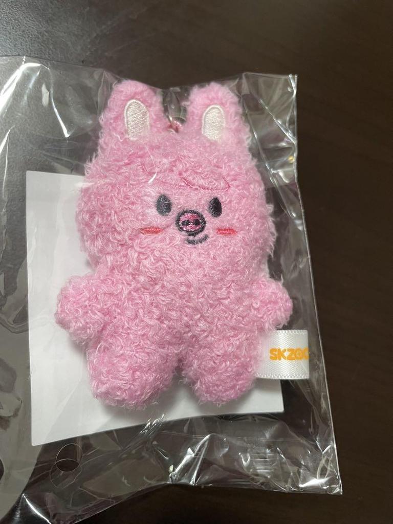[USED] SKZOO Key Ring Micro ver. DWAEKKI (Changbin)