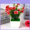Camellia Sasanqua Plastic Botanical Potted Plant For Gift And Interior Decor