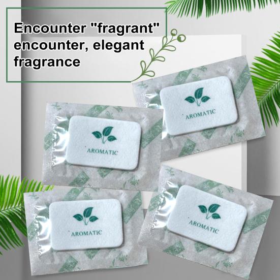 100 Pièces Tablettes Parfumées Résistantes à l'Humidité Longue Durée Parfums Plantes Fruits Armoire Placard