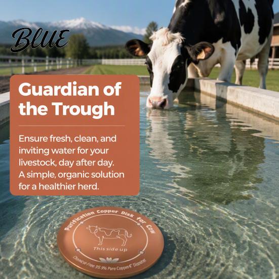 Decorative Garden Water Disc Bird Bath Copper Disc Purification 3 or 4 Point Support Pet Fountain Cleaning Tool Bowl Livestock Trough for