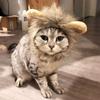 Mane Wig for Cat Pet Adjustable Washable Comfortable Hair Cat Clothes for Halloween Christmas Easter Festival Party