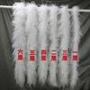 DIY 1 Ply Ostrich Feather Boa Customized Real Ostrich Feathers Scarf for Wedding Dress Sewing Decoration Plume Woman Shawl
