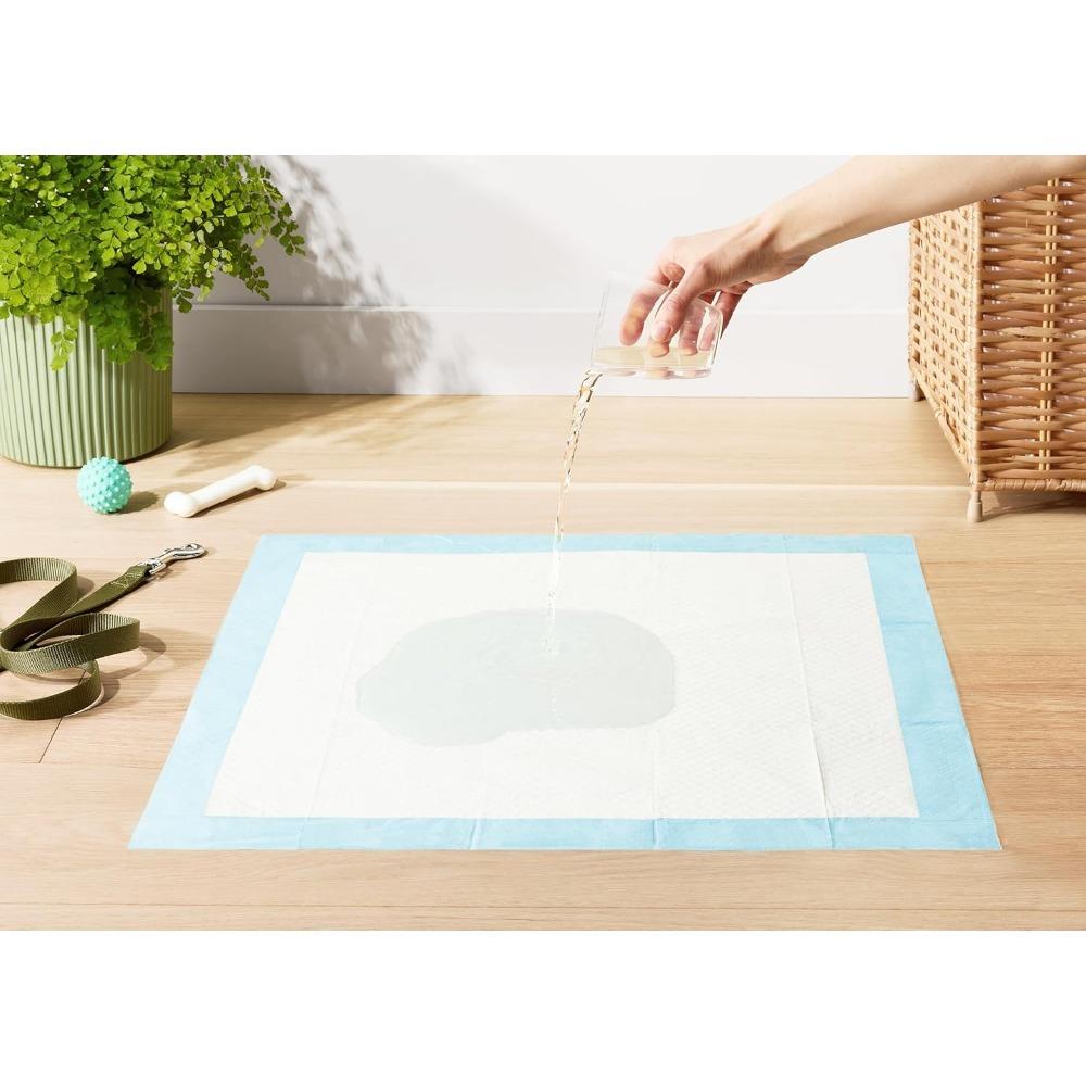 Dog and Puppy Pee Pads, 5-Layer Leak-Proof Super Absorbent, Quick-Dry Surface, Potty Training, Regular (22x22"), 100 Count, Blue & White