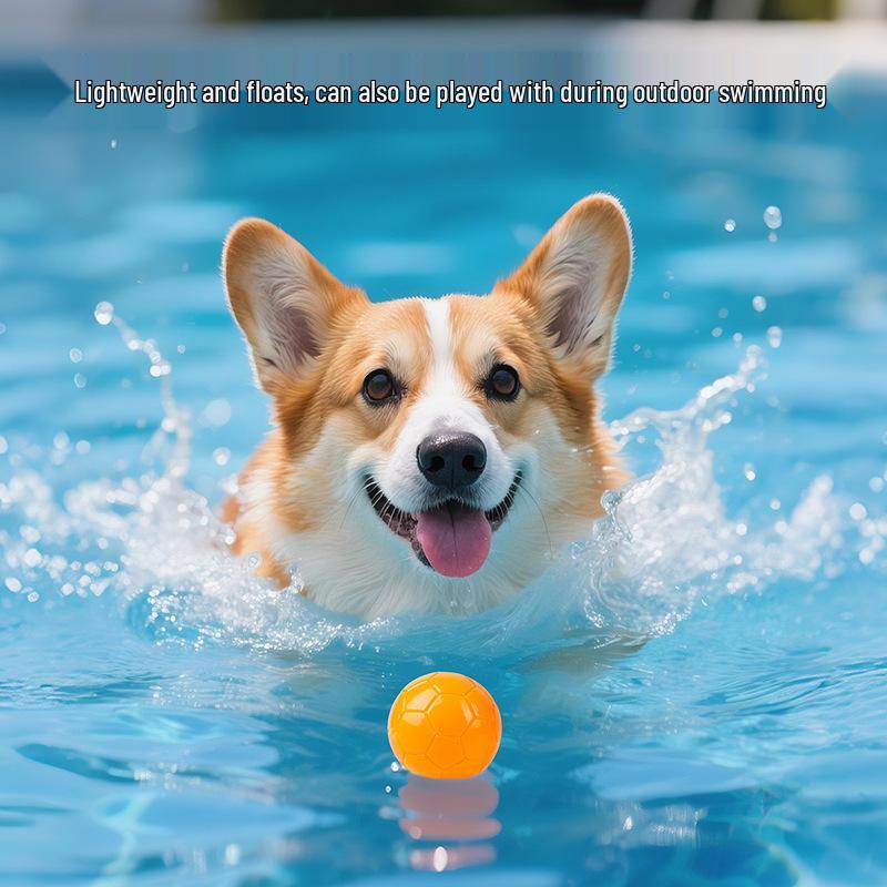 Squeaky Durable Chew Ball Dog Toy for Corgi Puppies