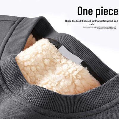 Men's Trendy Lambswool Round Neck Hoodie: Versatile Winter Warm Thickened Jacket for 2025 Students