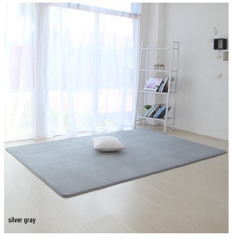 Soft Solid Color Coral Fleece Carpet for Bedroom and Living Room