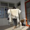 Winter New Casual Coat Women's Thickened Warm Raccoon Fur Coat