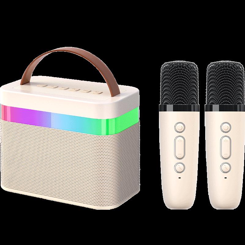 Newmine DP99 Wireless KTV Microphone Speaker System