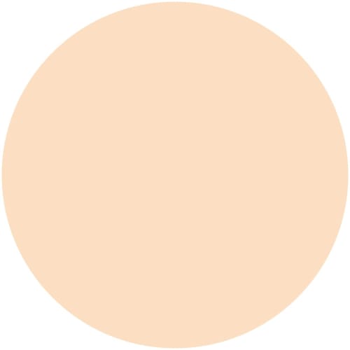 Kiss Me FERME Moist and Glossy Skin Powder Foundation 01 Bright Skin Tone 11g Suitable for Expression Wrinkles Moisturizing Type SPF25 PA++