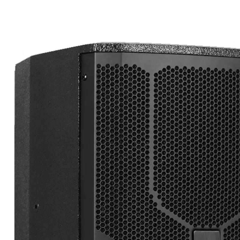 Runpu Professional Dual 10-inch Passive Conference Speaker (CN version)