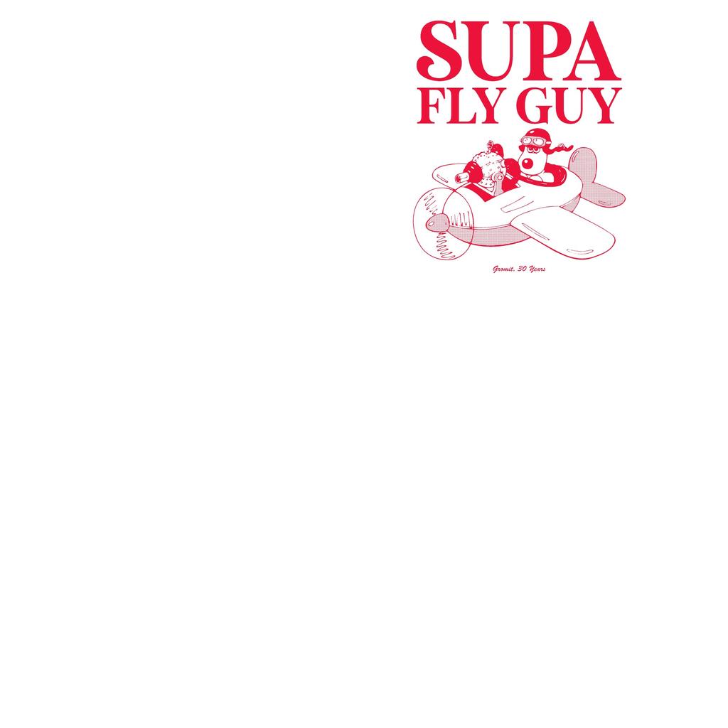 Wallace and Gromit Unisex Adult Supa Fly Guy Gromit T-Shirt