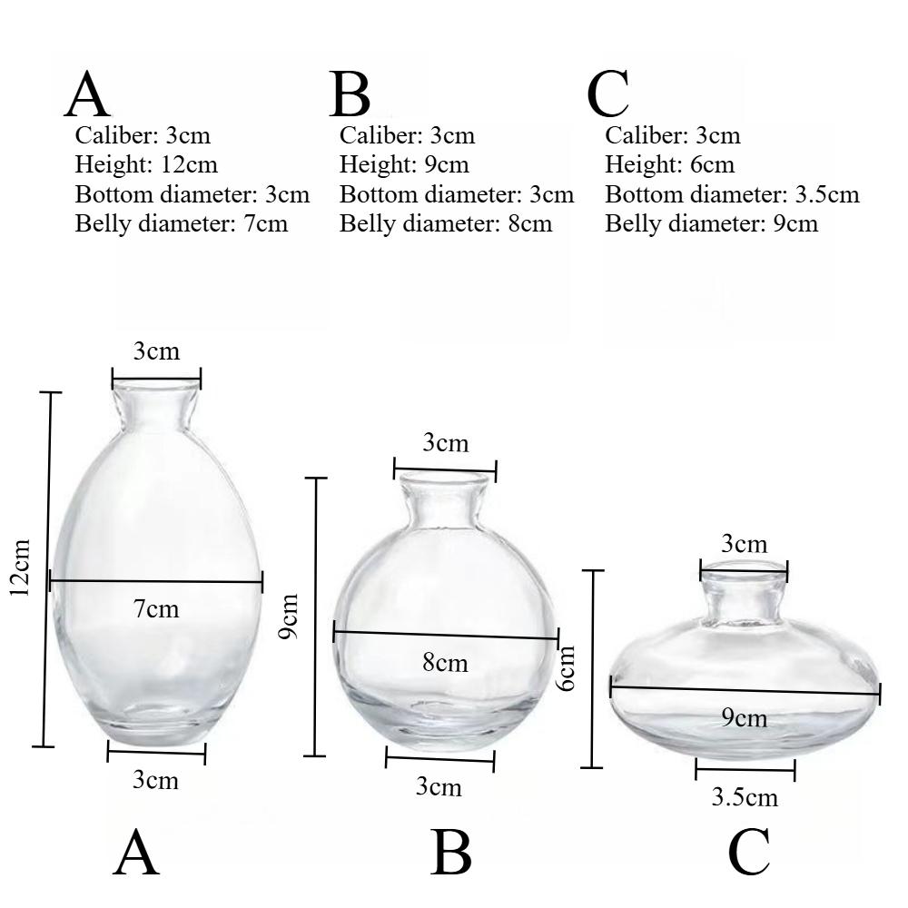 Nordic Transparent Glass Vase Avocado Seed Starters Vase Minimalist Small Plant Pots Gift for Gardening Lovers Home Decor