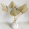 1/2PCS Pampas Grasses Branches DIY Wedding Decorations Home Decora Palm Fan Leaf Dried Flower Palm Leaves In Different Shapes
