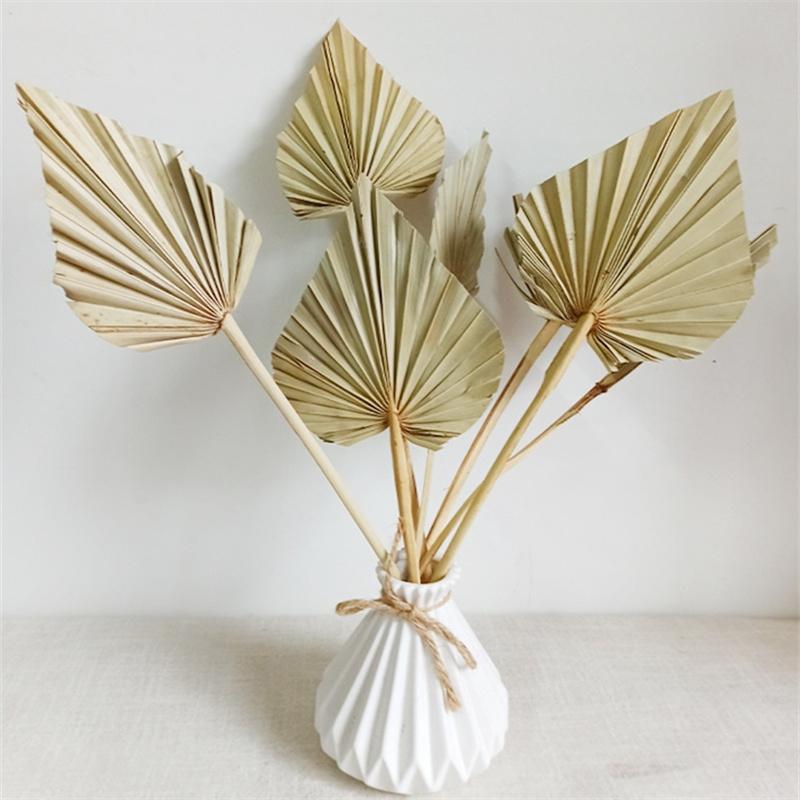 1/2PCS Pampas Grasses Branches DIY Wedding Decorations Home Decora Palm Fan Leaf Dried Flower Palm Leaves In Different Shapes