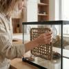 Reptiles – Terrarios de reptiles
