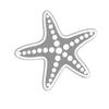 4pcs DIY Metal Cutting Dies Sea Star Conch Seashell Scrapbooking Craft for Card Making and Paper Crafts.