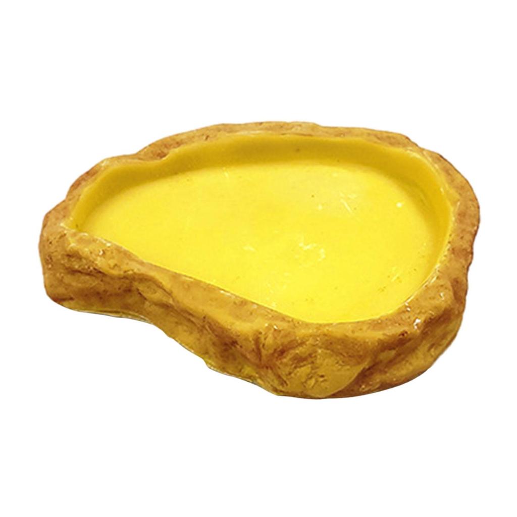 Reptile Water Bowl Resin Terrarium Habitat Decoration Terrarium Water Dish for Snake Tortoise Bearded Dragon Turtle Chameleon