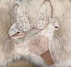 Hot-selling French sexy underwear women's ultra-thin pure lace bra cover large chest small large size underwear set