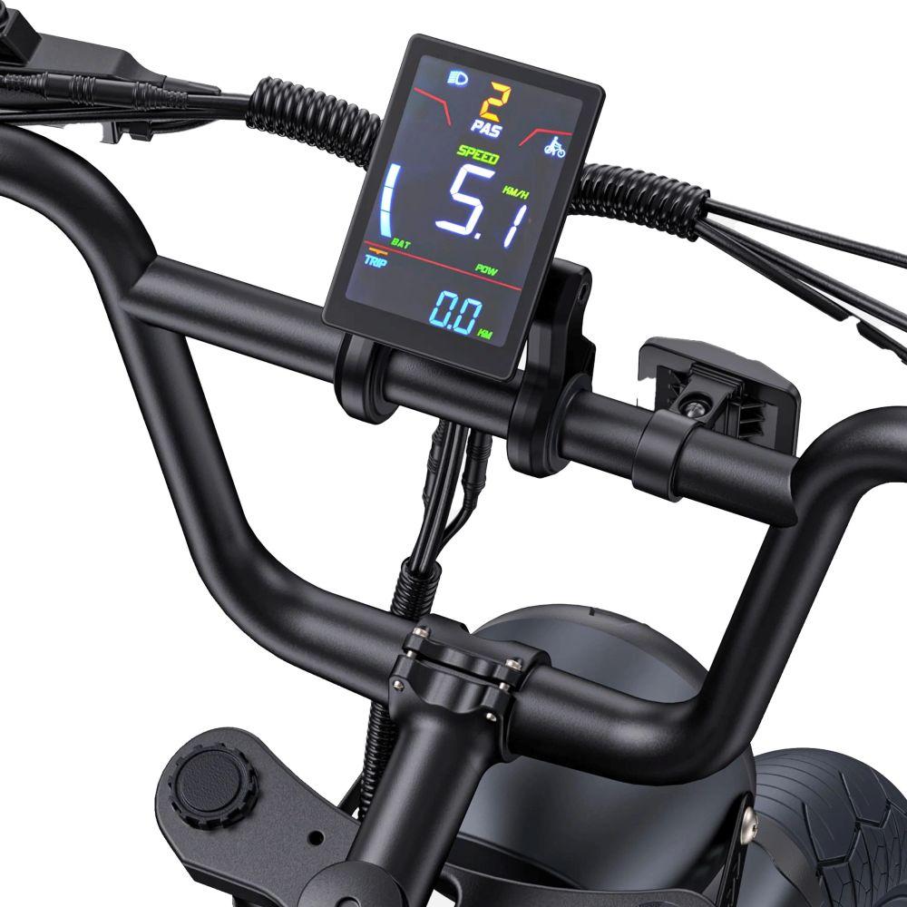 Electric bicycle ENGWE M1, 250W motor, 48V 15.6AH battery, top speed 25km/h, cruising range 90km, 20x4.0-inch tires