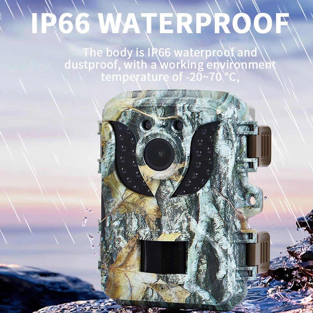 DL005 Mini Hunting Trail Camera HD 16MP 1080P Infrared Night Vision Waterproof Wildlife Camera for Monitoring Animal Observation