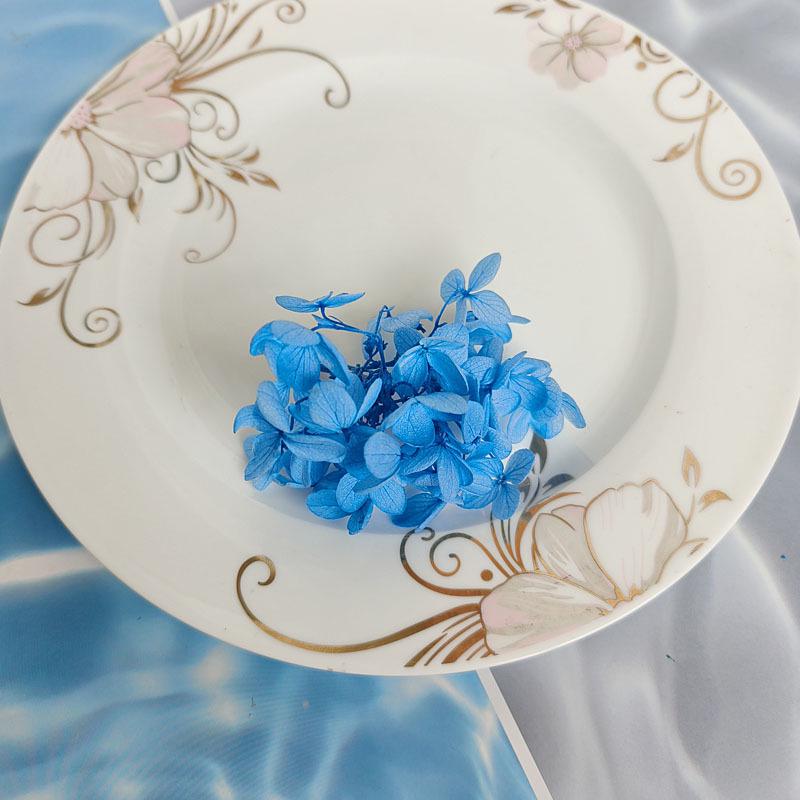 Blue Series Dried Flower DIY Kit: Hydrangea, Thousand-Layer Gold, Eucalyptus Leaf Souvenir Decoration